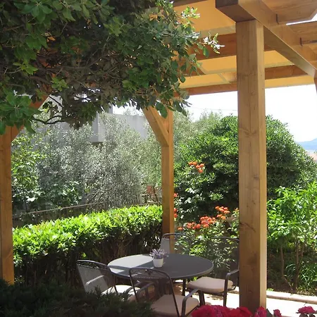 Apartments Villa Violet Zadar Exterior photo