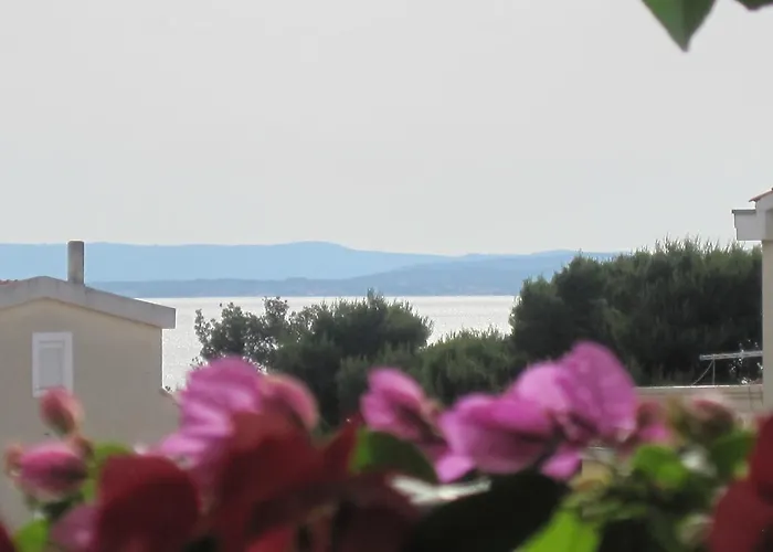 Apartments Villa Violet